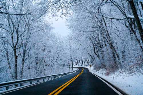 A winding road surrounded by snow-covered trees, creating a serene winter landscape.