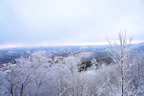 A winter landscape with frosted trees and rolling mountains under a cloudy sky, creating a serene, icy atmosphere.