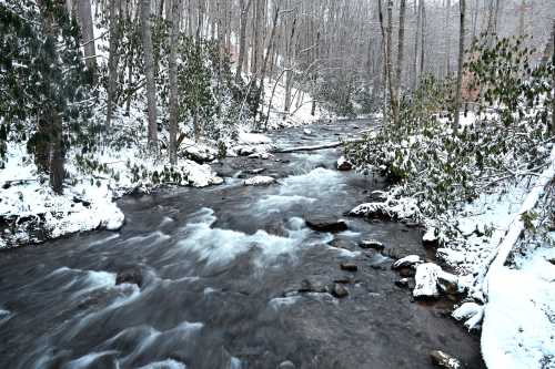 A snowy landscape featuring a flowing river surrounded by trees and greenery.