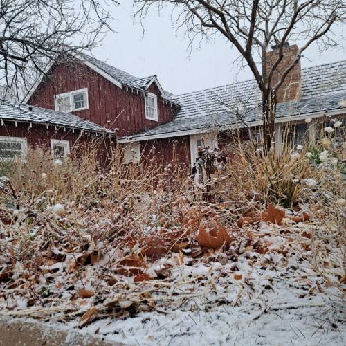 A snowy scene featuring a red house, bare trees, and fallen leaves in a winter landscape.