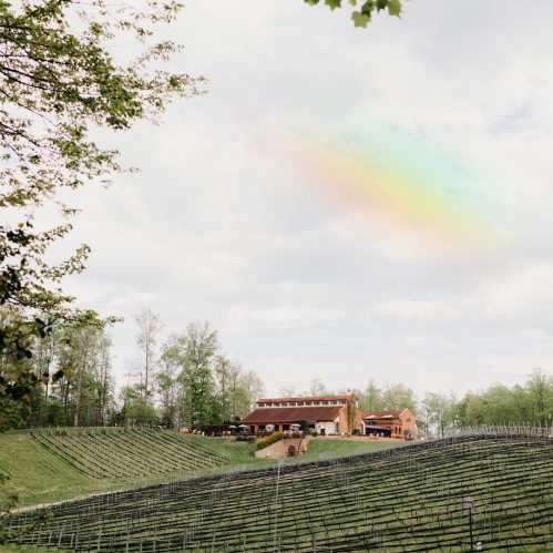 A scenic vineyard with rolling hills, a rustic building, and a faint rainbow in the cloudy sky above.