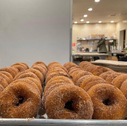 A tray of freshly made, cinnamon-sugar coated donuts lined up in a kitchen setting.