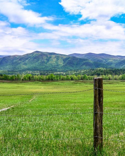 A wooden fence post in a green field with rolling mountains and a blue sky in the background.