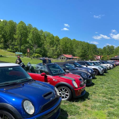 A row of colorful Mini Cooper cars parked on a grassy field under a clear blue sky.