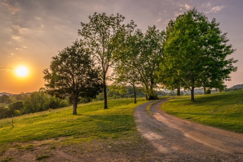 A winding dirt path leads through a green landscape at sunset, framed by trees and a colorful sky.