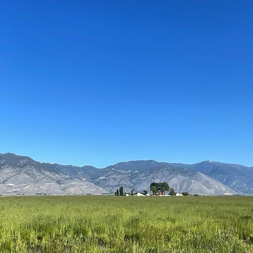 A vast green field stretches towards distant mountains under a clear blue sky, with a small cluster of buildings visible.