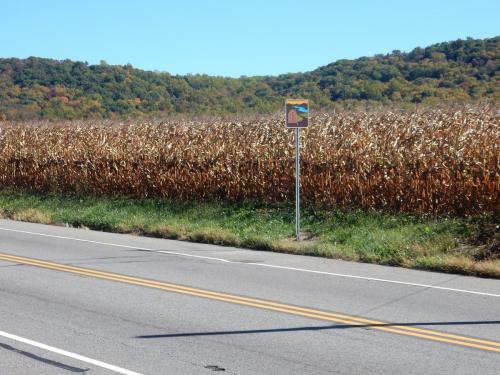 A roadside sign next to a field of tall, dried corn with rolling hills in the background under a clear blue sky.