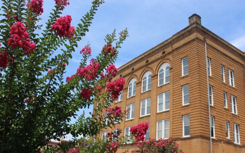 Historic brick building with large windows, framed by vibrant pink flowering plants under a blue sky.