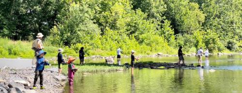 A group of people fishing along a riverbank surrounded by lush greenery on a sunny day.