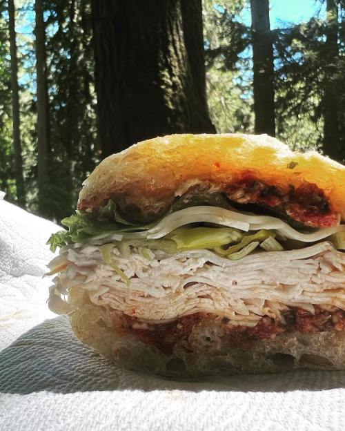 A close-up of a sandwich with layers of turkey, lettuce, and sauce, set against a backdrop of trees and sunlight.