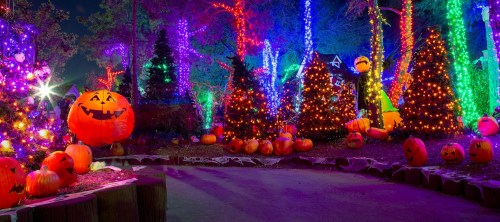 Colorful Halloween scene with glowing pumpkins and trees adorned with vibrant lights at night.