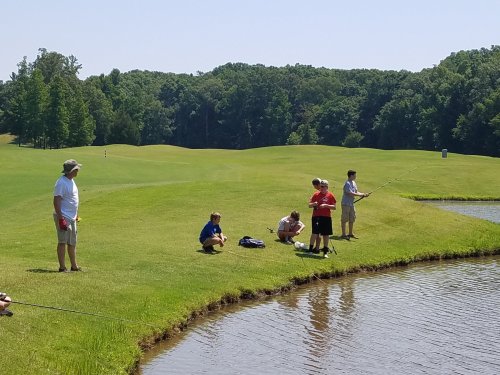 A group of children and an adult fish by a pond on a sunny day, surrounded by green grass and trees.