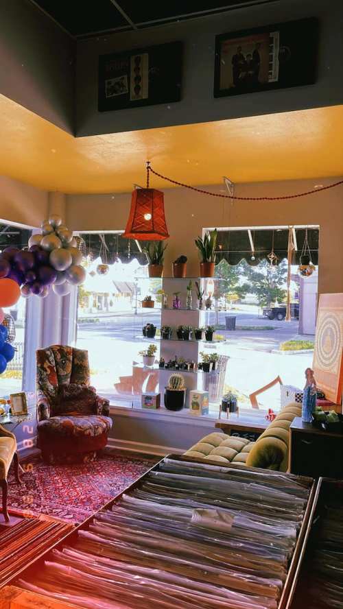 Cozy shop interior with colorful decor, plants on shelves, a vintage chair, and a vibrant rug. Natural light streams in.