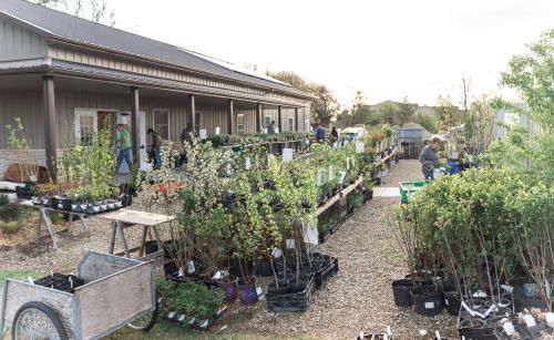 A garden center with various plants and trees for sale, people browsing and working among the displays.