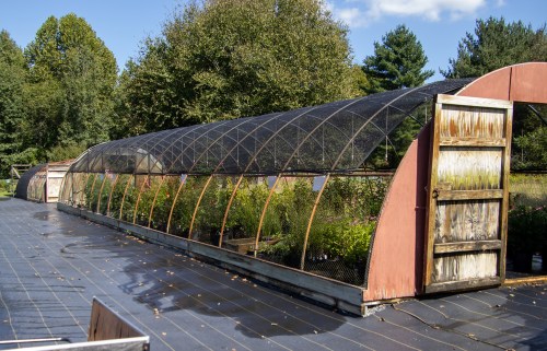 A greenhouse with a curved structure, featuring a wooden door and surrounded by greenery under a clear blue sky.