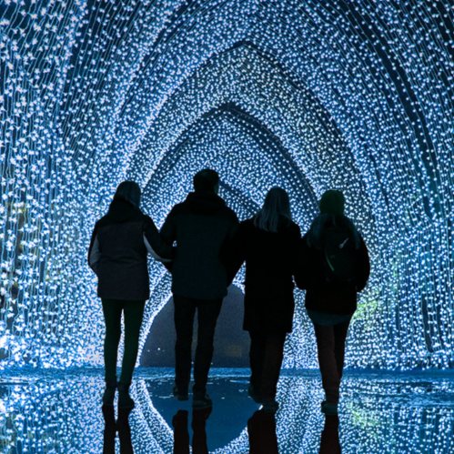 Four people stand hand in hand, silhouetted against a dazzling display of blue lights in an archway.