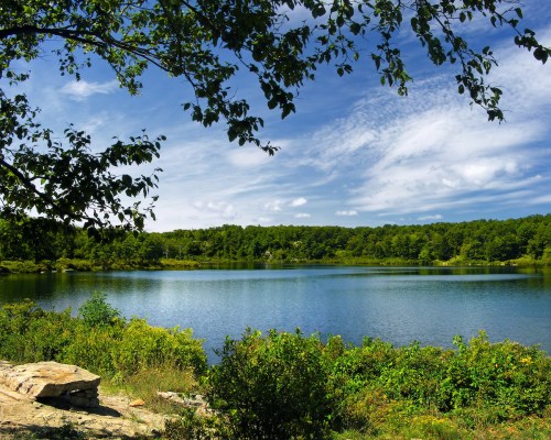 A serene lake surrounded by lush greenery and a blue sky with scattered clouds.