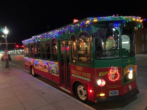 A festive trolley bus adorned with colorful lights parked on a city street at night.