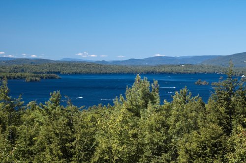 A serene lake surrounded by lush green trees and distant mountains under a clear blue sky.