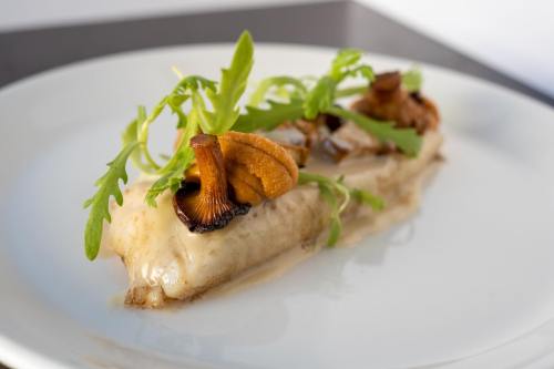 A plated dish featuring creamy sauce, mushrooms, and fresh arugula on a white plate.