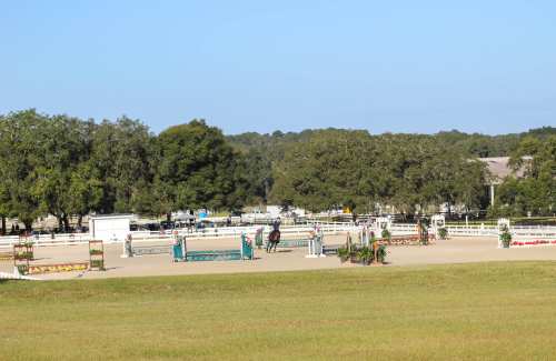 A spacious equestrian arena with jumps, surrounded by trees and a clear blue sky.