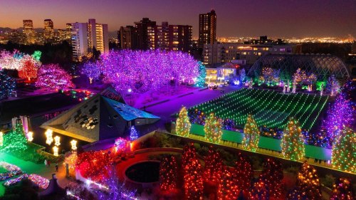 A vibrant nighttime scene of a garden illuminated with colorful holiday lights, surrounded by city buildings.