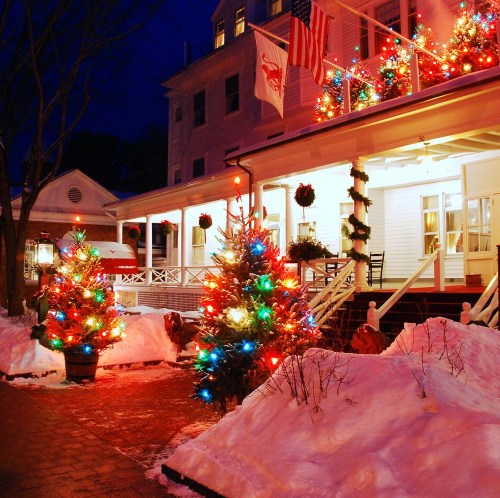 A festive scene featuring colorful Christmas trees and a decorated building, surrounded by snow at night.