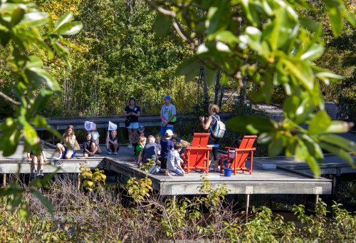 A group of children gathered on a wooden deck in a natural setting, with a person sitting in a red chair.