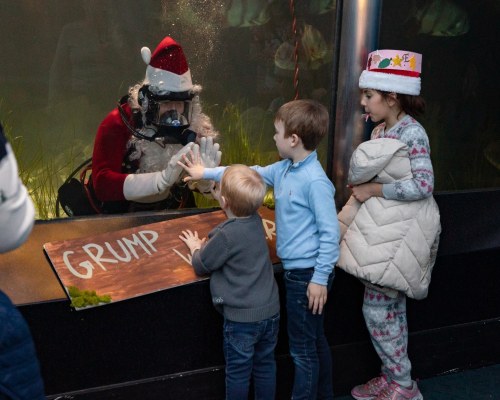 A diver in a Santa suit interacts with children at an aquarium, with a festive sign reading "GRUMP."