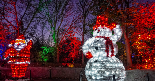 Colorful holiday lights illuminate a snowman and Santa Claus in a festive outdoor setting at dusk.