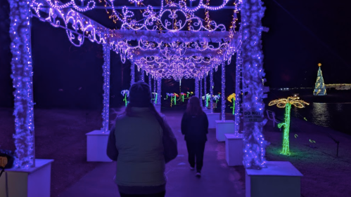 Two people walk under a canopy of purple lights, with colorful light displays of trees and flowers in the background.