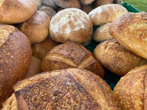 A variety of freshly baked artisan breads piled together, showcasing different textures and crusts.