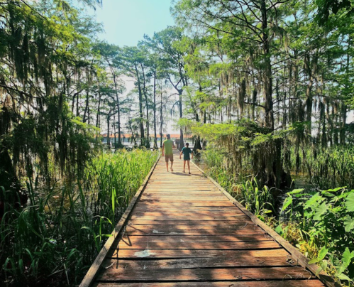 A wooden boardwalk through lush greenery, with two people walking side by side under a bright blue sky.