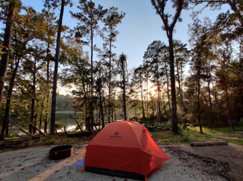 A bright orange tent set up by a serene lake, surrounded by tall trees and a peaceful morning sky.