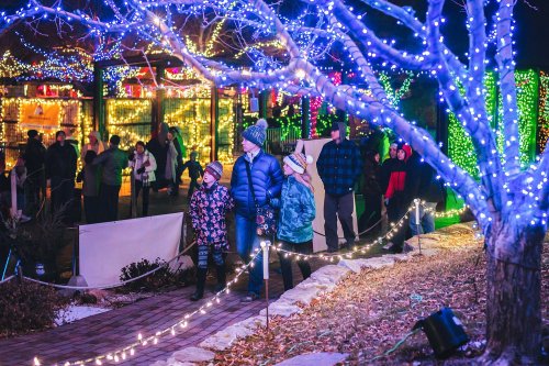 A family walks through a festive display of colorful holiday lights in a park at night.