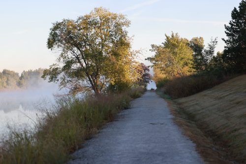 A serene pathway along a misty river, lined with trees and grass, under a clear sky.
