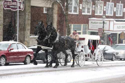 A horse-drawn carriage travels down a snowy street, surrounded by cars and buildings. Snowflakes are falling.