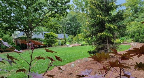 A lush garden scene featuring green grass, trees, and colorful plants, with a glimpse of a house in the background.