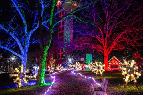 Colorful holiday lights illuminate trees and a path, with decorative snowflake displays and a gingerbread house in the background.