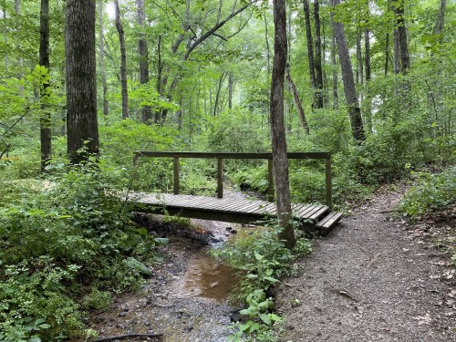 A wooden bridge spans a small creek in a lush, green forest with dense trees and a winding path.