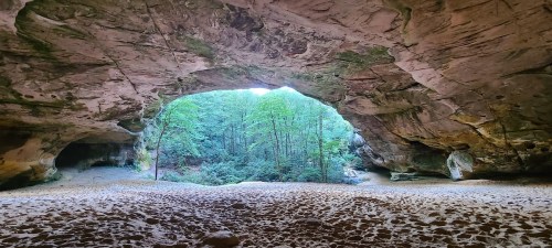 A large cave opening reveals a lush green forest beyond, with a sandy floor and rocky walls.