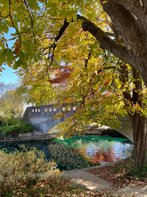 A serene scene of a stone bridge over a calm, reflective pond surrounded by vibrant autumn foliage.