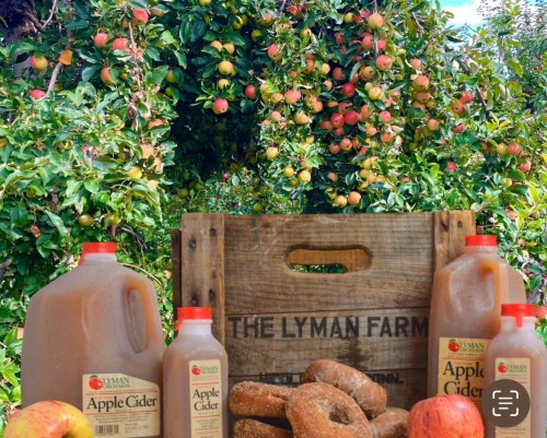 A wooden crate labeled "Lyman Farm" surrounded by apple cider jugs, fresh apples, and cider donuts under an apple tree.