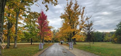 A scenic park road lined with colorful autumn trees in shades of red, orange, and yellow under a cloudy sky.