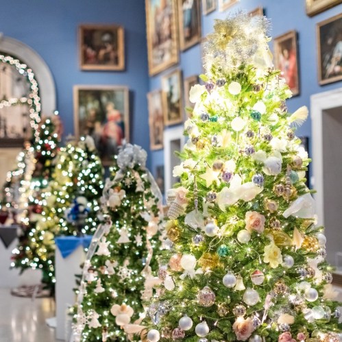 A festive display of beautifully decorated Christmas trees with lights and ornaments in a gallery setting.