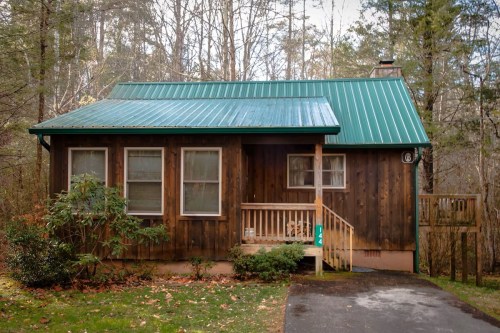 A cozy wooden cabin with a green metal roof, surrounded by trees and a small porch.