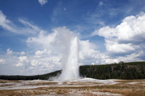 Old Faithful geyser erupts against a backdrop of blue sky and fluffy clouds, surrounded by green trees and dry ground.