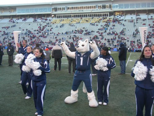 A mascot in a wolf costume dances with cheerleaders on a football field, with a crowd in the stands.