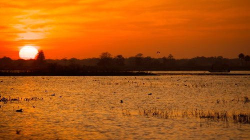 A serene sunset over a calm lake, with silhouettes of trees and birds flying across the orange sky.