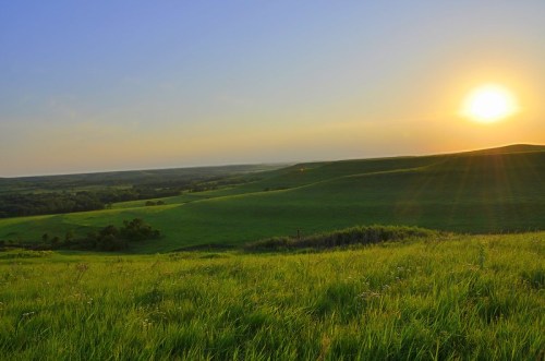 A serene landscape of rolling green hills under a sunset, with a clear sky and soft sunlight illuminating the scene.